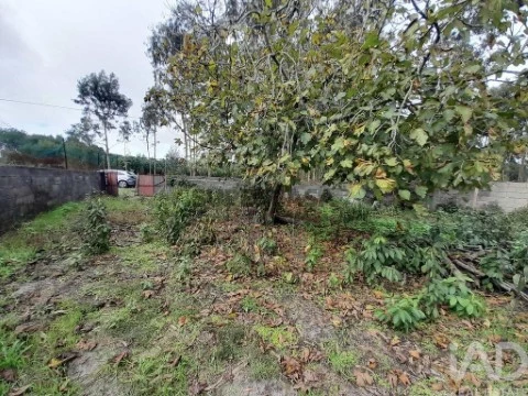 Lote em Tocha, Cantanhede