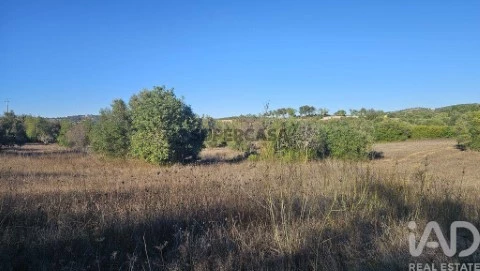 Lote em Santa Bárbara de Nexe, Faro
