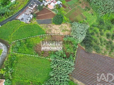 Lote em Santana, Santana