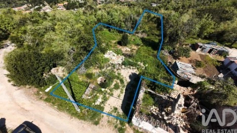 Lote em Pombal, Pombal