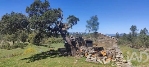 Quinta T0 em Benquerenças, Castelo Branco