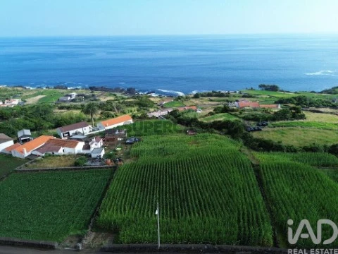 Lote na Ribeiras, Lajes do Pico