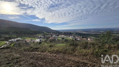 Lote em Lamas e Cercal, Cadaval