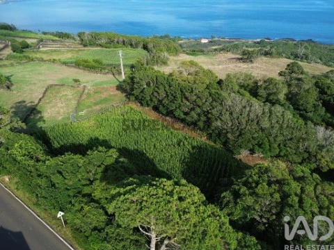 Lote na Ribeiras, Lajes do Pico