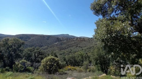 Lote em Mós, Torre de Moncorvo