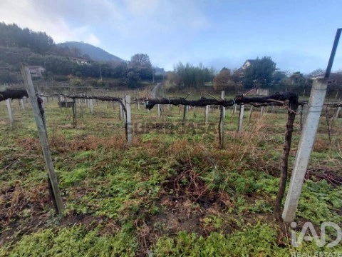 Lote em Portela, Monção