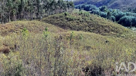 Lote em Mação, Penhascoso e Aboboreira, Mação