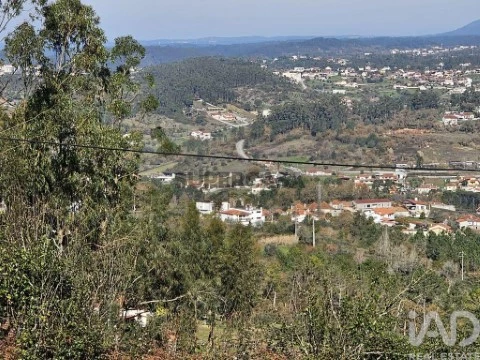 Moradia T0 em Pombal, Pombal