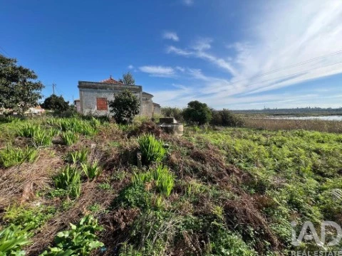 Lote em Sado, Setúbal