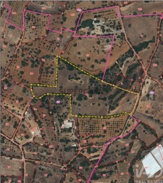 Lote em Estoi, Faro