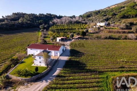Quinta T4 em União das Freguesias de Setúbal, Setúbal