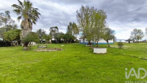 Quinta T2 em São Domingos de Ana Loura, Estremoz
