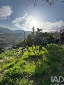 用地 在 Tabuaço, Tabuaço