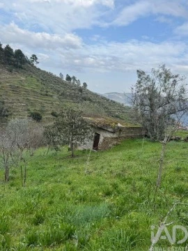 用地 在 Tabuaço, Tabuaço
