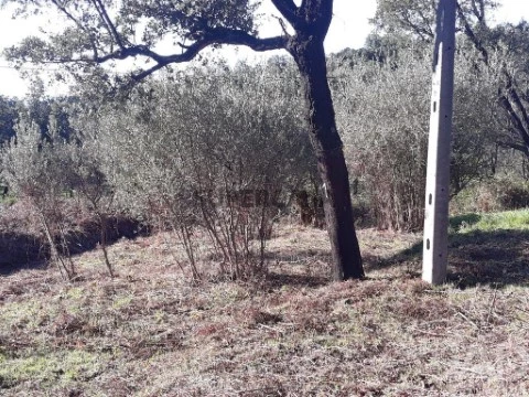 Lote em Monchique, Monchique