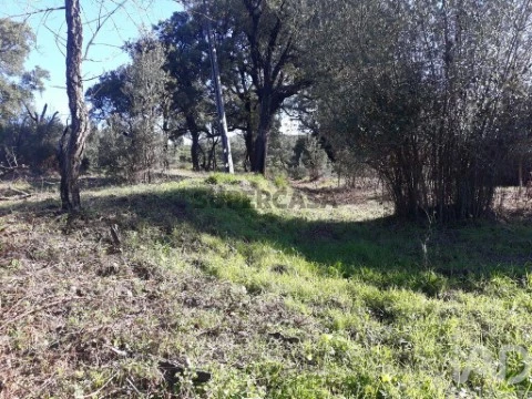 Lote em Monchique, Monchique