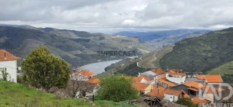 Lote em Vila Seca e Santo Adrião, Armamar