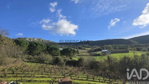 Lote em Lamas e Cercal, Cadaval