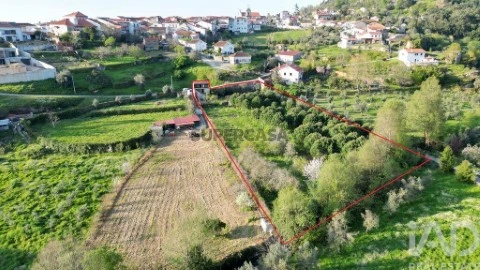 Lote em São Miguel, Santa Eufémia e Rabaçal, Penela