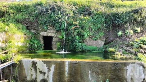 Parcela en Fonte Arcada, Penafiel