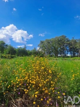 Lote em Bustelo, Penafiel