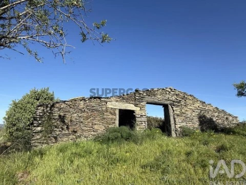 Lote em Vila Nova de Foz Côa, Vila Nova de Foz Côa