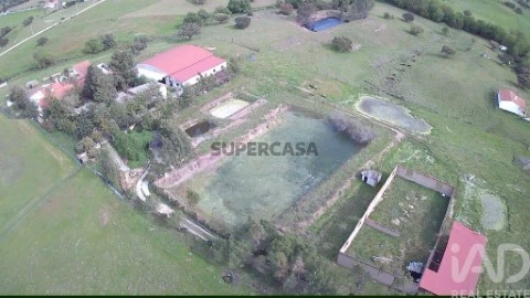 Lote em Serpa (Salvador e Santa Maria), Serpa