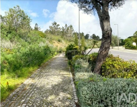 Parcela en Belas, Sintra