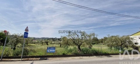 Lote em Fráguas, Rio Maior