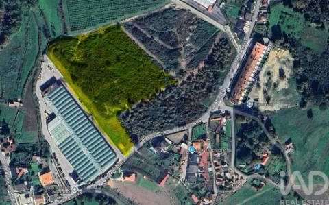 Lote em Paredes, Paredes