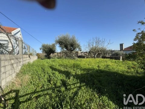Gründstück auf Junceira, Tomar