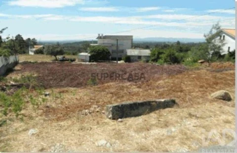 Lote em Covas e Vila Nova de Oliveirinha, Tábua