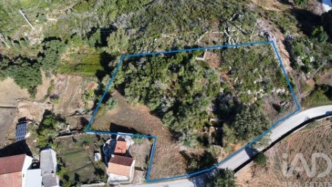 Lote em Santiago da Guarda, Ansião