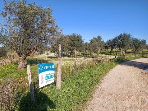Lote em Galveias, Ponte de Sor