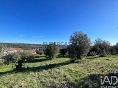 Gründstück auf Além da Ribeira e Pedreira, Tomar