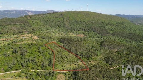 Lote em Alvorge, Ansião