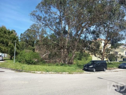Lote em Rio Maior, Rio Maior