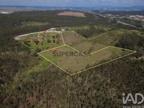 Lote em São Martinho do Bispo e Ribeira de Frades, Coimbra