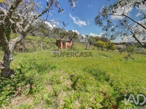 Lote em Pedrógão Pequeno, Sertã