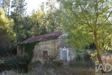 Maison 1 Chambre au Urqueira, Ourém