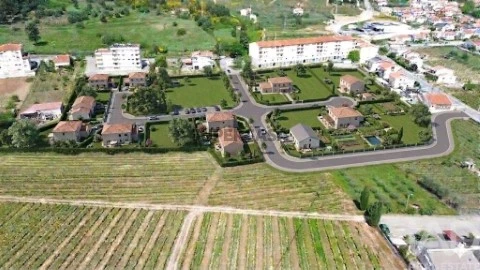 Lote em Alijó, Alijó