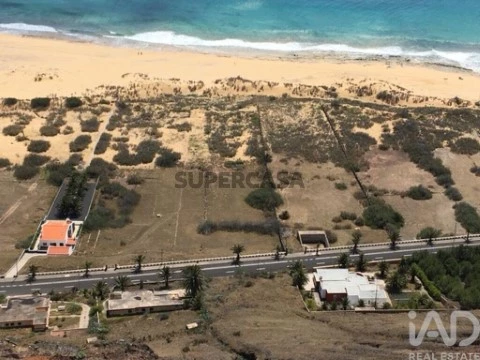 Lote no Porto Santo, Porto Santo