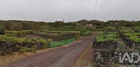 Lote em Piedade, Lajes do Pico