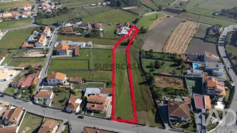 Lote em Beduído, Estarreja