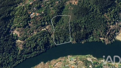 Lote em Tarouquela, Cinfães