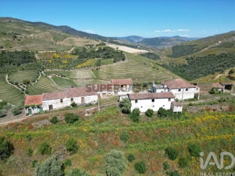 Quinta T0 em Ervedosa do Douro, São João da Pesqueira