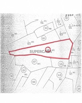 Lote em Conceição, Faro