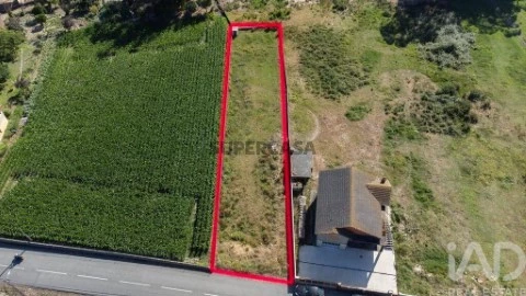Lote em Pardilhó, Estarreja