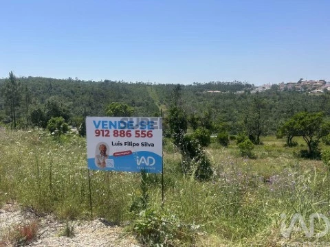 Lote em Pombal, Pombal