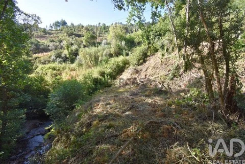 Lote em Espinhal, Penela